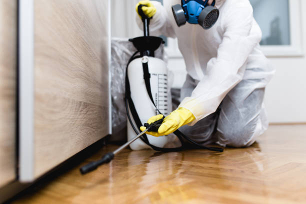 Best Exterminator Services  in Homosassa Springs, FL