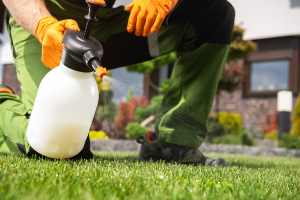 Best Pest Prevention Services  in Homosassa Springs, FL