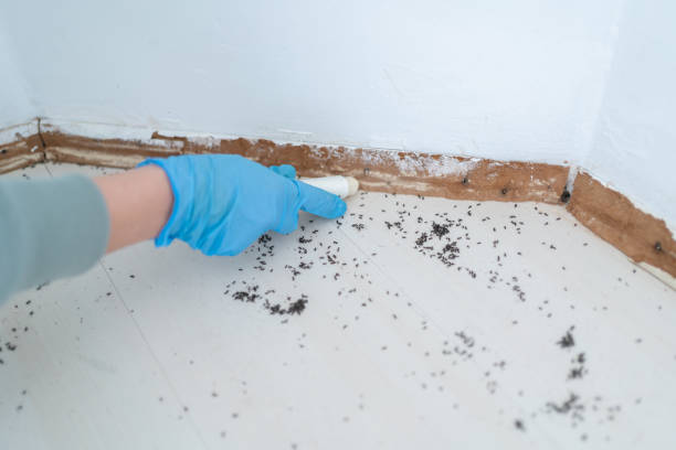 Best Best Pest Control Companies  in Homosassa Springs, FL