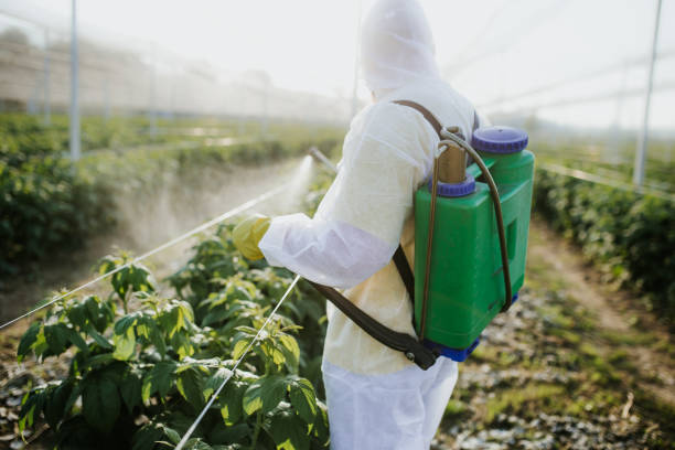 Best Cockroach Control Services  in Homosassa Springs, FL